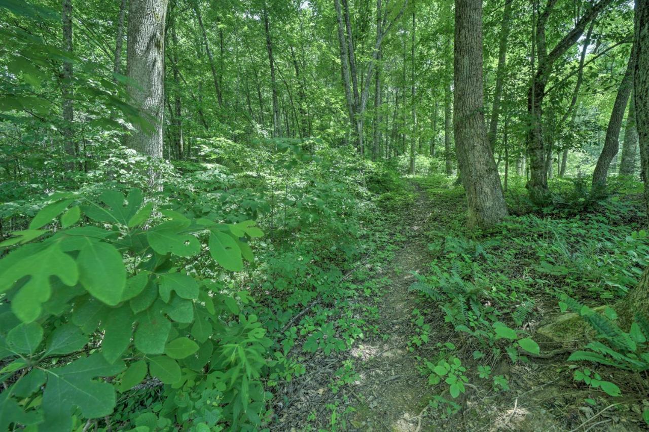 Historic Cabin Grill And Hiking Trail Access! Bryson City Buitenkant foto